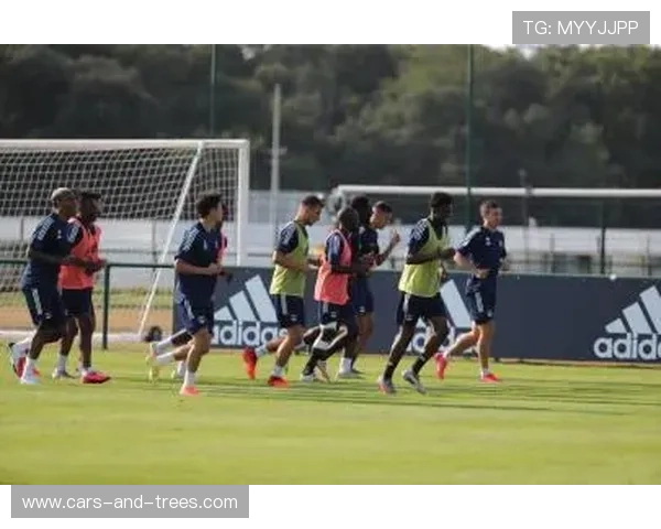 亿博app下载官网体育平台最新版本下载安装指南，全面提升您的体育娱乐体验