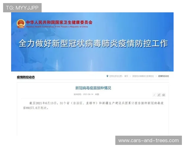 满冠体育登录入口官方渠道推荐，轻松实现账号登录与赛事参与